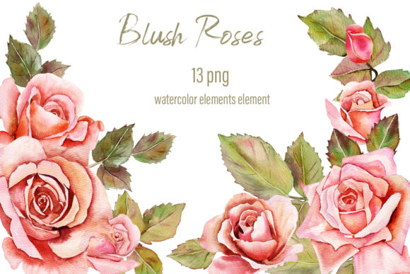 Blush Roses Watercolor Illustrations: A Polished Graphic Design Asset for Content Creators