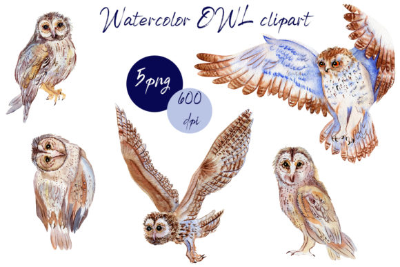 BOHO Owl Clipart: A Watercolor Woodland Illustration for Creative Sellers