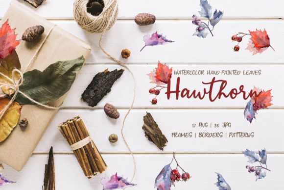 Hawthorn Watercolor: A Versatile Illustration for Content Publishing