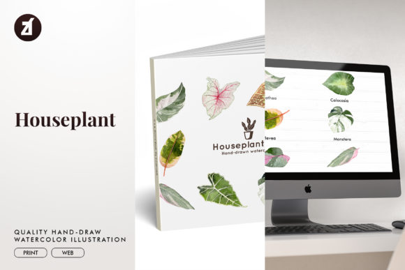 Houseplant Set1 Watercolor Illustration Review for Commercial Use
