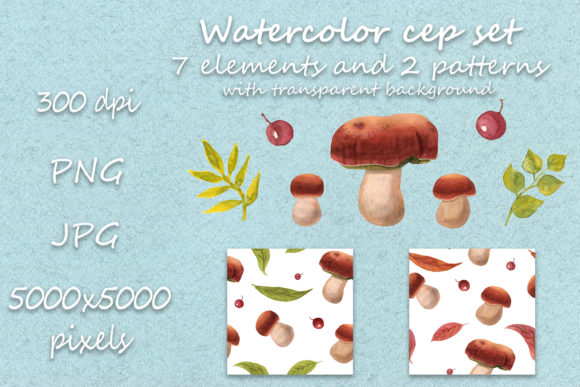 Watercolor Cep Set: A Versatile Illustration for Creative Sellers