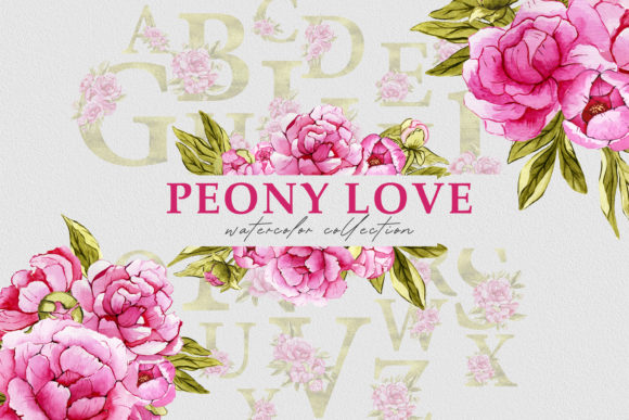 Watercolor Floral Set Pink Peony PNG: A Versatile Illustration for Local Business Branding