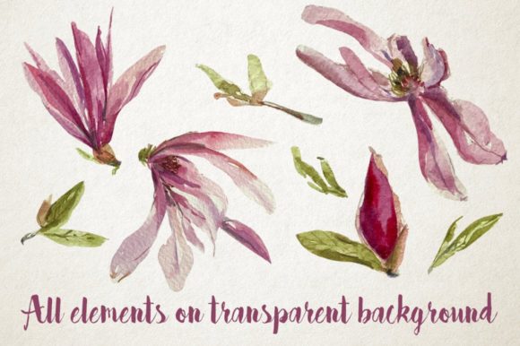 Watercolor Magnolia Clip Art Pattern for Illustrations