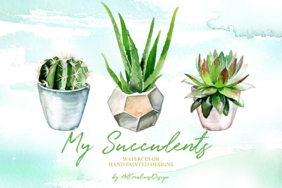 Watercolor My Succulents Design Set Review for Real Projects