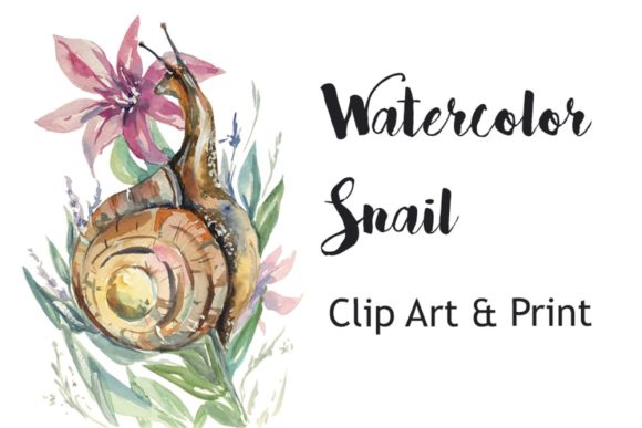 Watercolor Snail Illustrations: A Delightful Graphic Design Asset for Content Creators