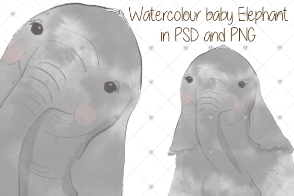 Watercolour Elephant Illustrations for Commercial Projects